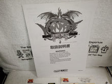 Load image into Gallery viewer, Vampire / Darkstalkers - arcade artset art set