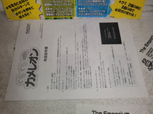 Load image into Gallery viewer, kuru kuru chameleon - arcade artset art set