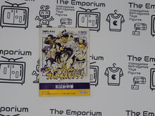 Load image into Gallery viewer, Samurai Spirits GB MANUAL ONLY - Nintendo GB GameBoy