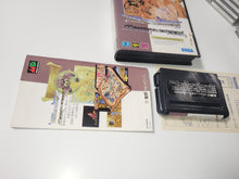 Load image into Gallery viewer, Shining and the Darkness - Sega MD MegaDrive
