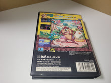 Load image into Gallery viewer, Taz-Mania - Sega MD MegaDrive