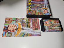 Load image into Gallery viewer, Gain Ground - Sega MD MegaDrive