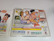 Load image into Gallery viewer, Capcom vs Snk PRO - Sega dc Dreamcast