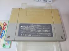 Load image into Gallery viewer, Sim City - Nintendo Sfc Super Famicom