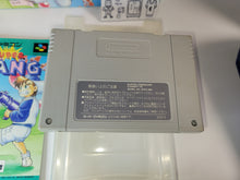Load image into Gallery viewer, Super Pang - Nintendo Sfc Super Famicom
