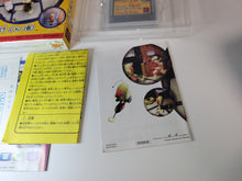 Load image into Gallery viewer, Ganbare Neo Poke-Kun - Snk Neogeo pocket color