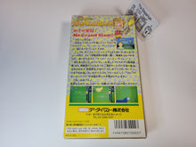 Load image into Gallery viewer, Super Birdie Rush - Nintendo Sfc Super Famicom