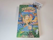 Load image into Gallery viewer, Joe & Mac - Nintendo Sfc Super Famicom