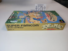 Load image into Gallery viewer, Joe & Mac - Nintendo Sfc Super Famicom
