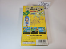Load image into Gallery viewer, Joe & Mac - Nintendo Sfc Super Famicom
