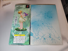 Load image into Gallery viewer, Mushihime Sama Limited Edition - Sony playstation 2
