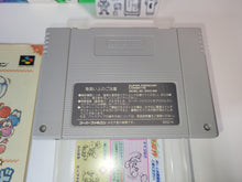 Load image into Gallery viewer, lee - Yoshi Island - Nintendo Sfc Super Famicom