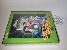 Load image into Gallery viewer, Soccer Brawl - Snk Neogeo AES NG