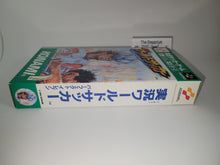 Load image into Gallery viewer, marco - World Soccer Perfect Eleven - Nintendo Sfc Super Famicom