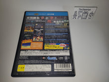 Load image into Gallery viewer, SEGA AGES 2500 Series Vol.11 Fist of the North Star / Hokuto no Ken - Sony playstation 2
