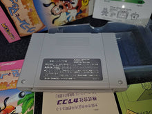 Load image into Gallery viewer, Goofy to Max - Kaizoku-jima no Daibouken - Nintendo Sfc Super Famicom
