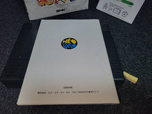 Charger l'image dans la galerie, Ryuko no Ken 2 / Art of Fighting 2 - Snk Neogeo AES NG
