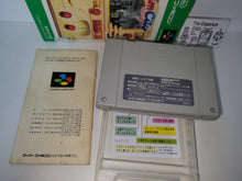 Load image into Gallery viewer, Sim City - Nintendo Sfc Super Famicom
