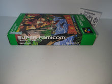 Load image into Gallery viewer, Super Donkey Kong  - Nintendo Sfc Super Famicom
