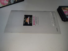 Load image into Gallery viewer, Snow Bros.: Nick &amp; Tom - Sega MD MegaDrive
