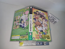 Load image into Gallery viewer, Fate Realta Nua EXTRA EDITION - Sony playstation 2
