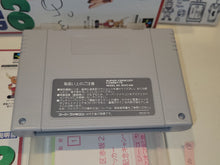 Load image into Gallery viewer, Zico Soccer - Nintendo Sfc Super Famicom
