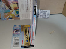 Load image into Gallery viewer, Winter Heat - Sega Saturn sat stn
