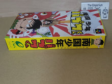 Load image into Gallery viewer, Nangoku Shounen Papuwa-kun - Nintendo Sfc Super Famicom
