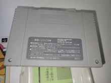 Load image into Gallery viewer, Hanjyuku Hero: Aah Sekai yo Hanjuku Nare - Nintendo Sfc Super Famicom
