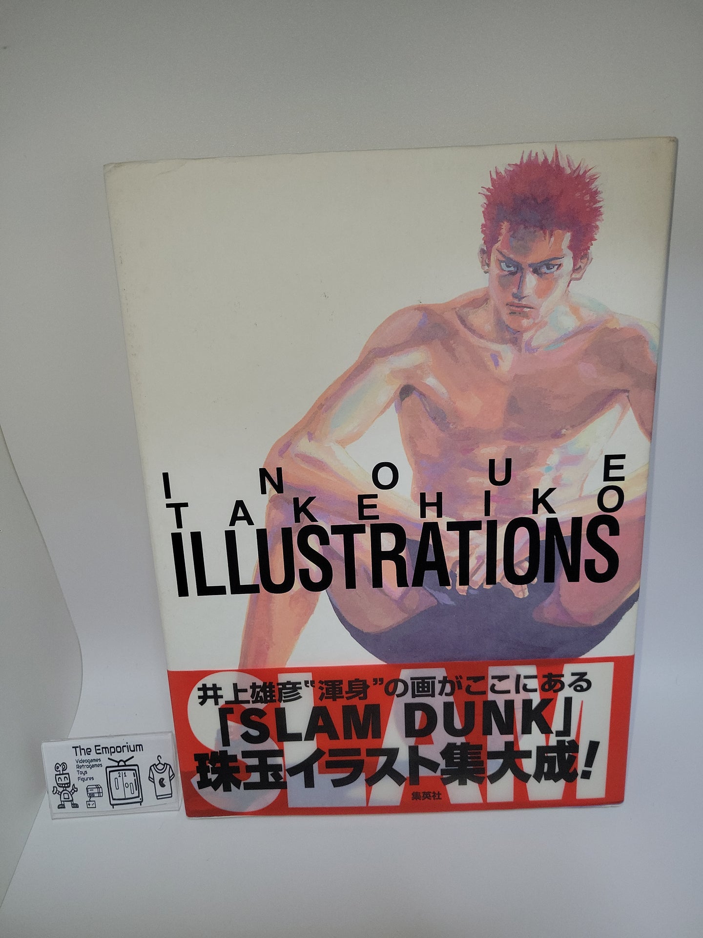 INOUE TAKEHIKO ILLUSTRATIONS  book  - book