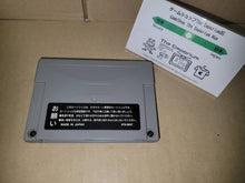 Load image into Gallery viewer, Saturn Snk ROM cartridge for KOF95 - Sega Saturn
