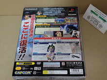 Load image into Gallery viewer, Hyper Street Fighter II: The Anniversary Edition [Special Anniversary Pack] - Sony playstation 2
