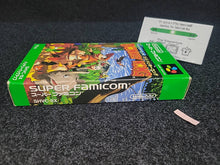 Load image into Gallery viewer, Super Donkey Kong  - Nintendo Sfc Super Famicom
