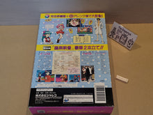 Load image into Gallery viewer, The Game Paradise [Special Package] - Sega Saturn sat stn
