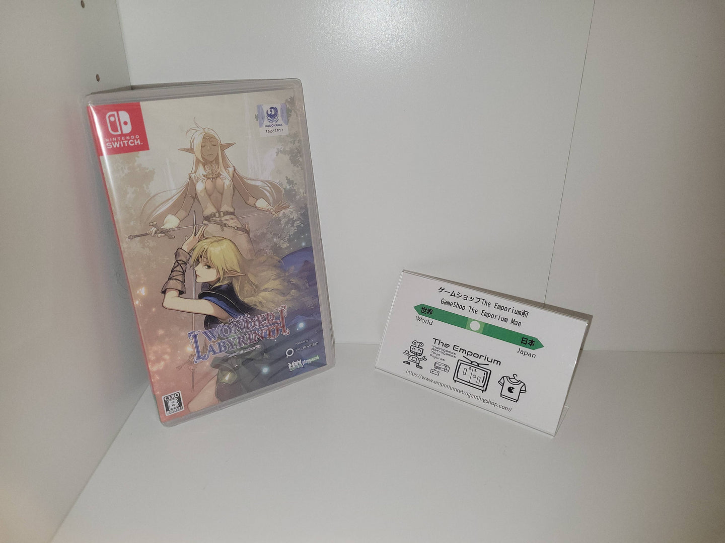 Record of Lodoss War: Deedlit in Wonder Labyrinth - Nintendo Switch NSW