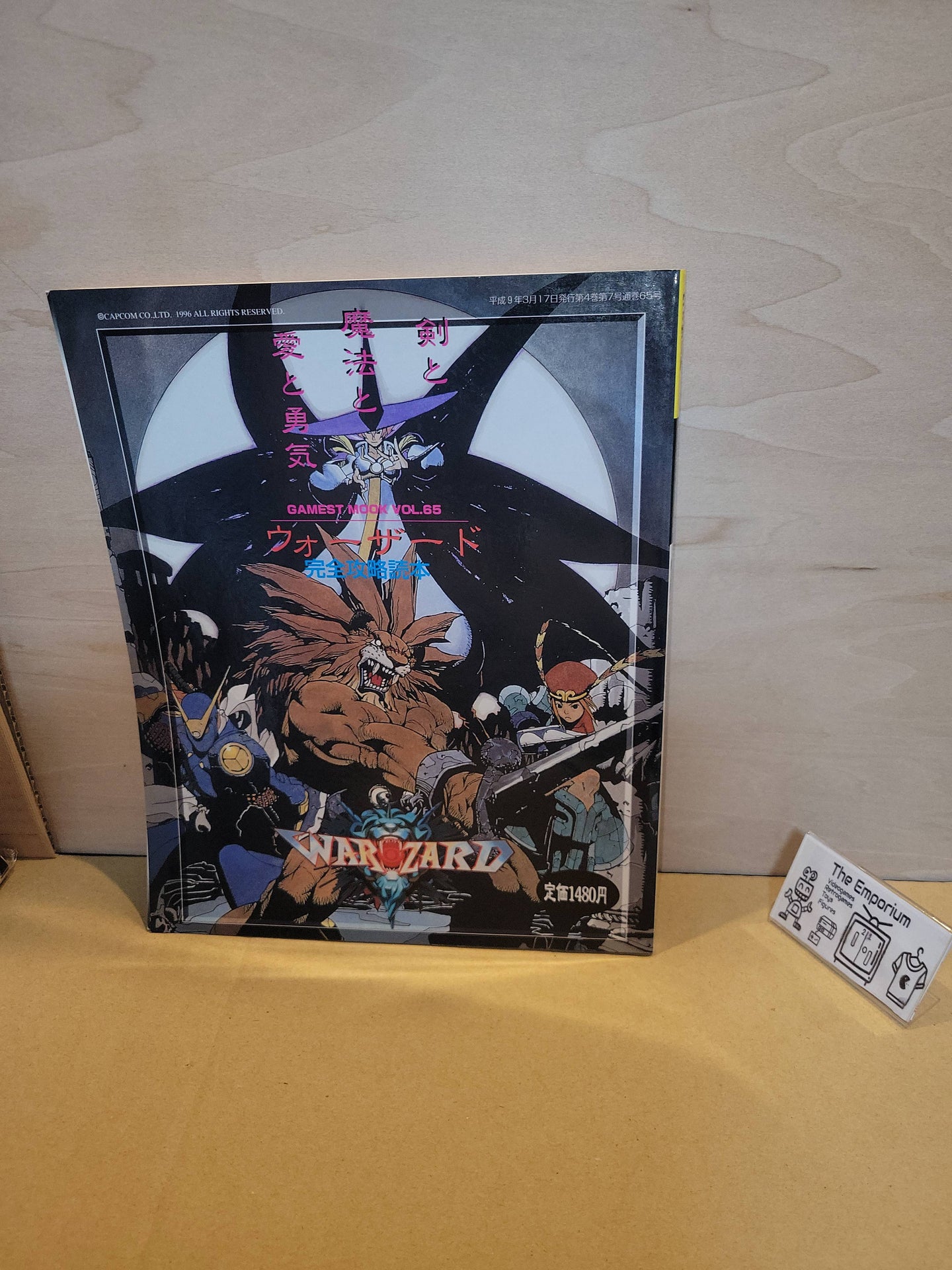 Warzard In the name of sword, magic, love and courage  - book