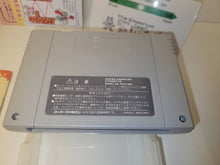 Load image into Gallery viewer, Yoshi Island - Nintendo Sfc Super Famicom

