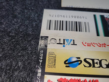 Load image into Gallery viewer, Layer Section - Sega Saturn sat stn
