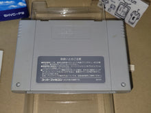 Load image into Gallery viewer, Pilotwings - Nintendo Sfc Super Famicom
