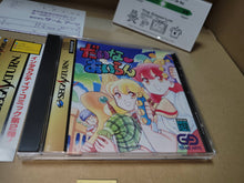 Load image into Gallery viewer, Dinosaur Island - Sega Saturn sat stn
