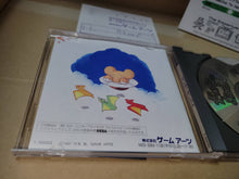 Load image into Gallery viewer, Dinosaur Island - Sega Saturn sat stn
