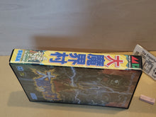 Load image into Gallery viewer, Daimakaimura - Sega MD MegaDrive
