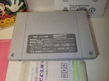 Load image into Gallery viewer, Goofy to Max - Kaizoku-jima no Daibouken - Nintendo Sfc Super Famicom
