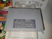 Load image into Gallery viewer, Goofy to Max - Kaizoku-jima no Daibouken - Nintendo Sfc Super Famicom

