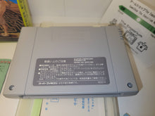 Load image into Gallery viewer, Cameltry - Nintendo Sfc Super Famicom
