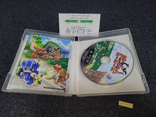 Load image into Gallery viewer, 3D Dot Game Heroes - Sony PS3 Playstation 3
