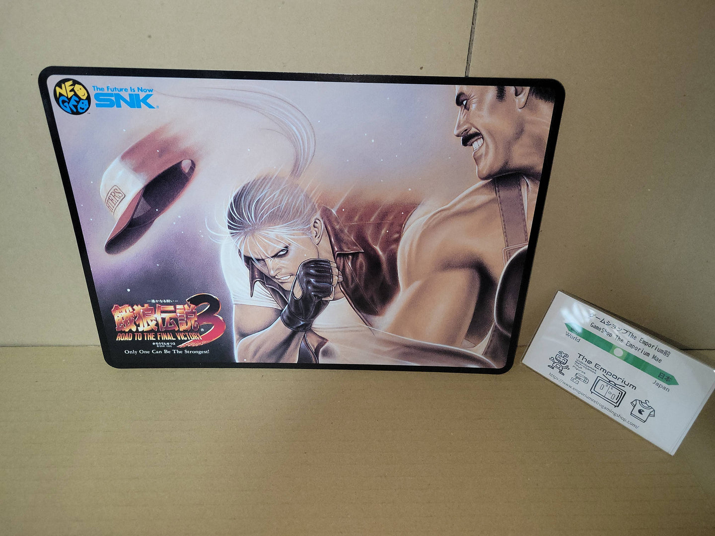 Garou Densetsu 3 / Fatal Fury 3 A4 ART MAT - Arcade poster artset