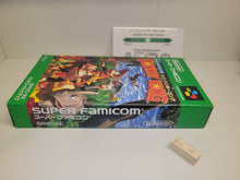 Load image into Gallery viewer, max - Super Donkey Kong  - Nintendo Sfc Super Famicom
