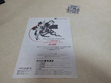Load image into Gallery viewer, Vampire Hunter  Promo Flyer A4 - arcade artset art set

