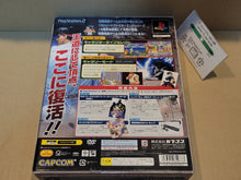 Load image into Gallery viewer, Hyper Street Fighter II: The Anniversary Edition [Special Anniversary Pack] - Sony playstation 2
